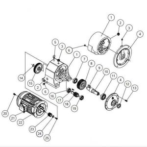 cấu tạo motor LIMING